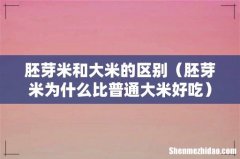 胚芽米为什么比普通大米好吃 胚芽米和大米的区别
