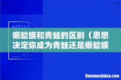 思想决定你成为青蛙还是癞蛤蟆 癞蛤蟆和青蛙的区别