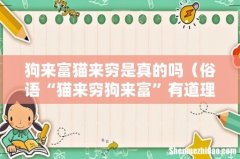 俗语“猫来穷狗来富”有道理吗 狗来富猫来穷是真的吗