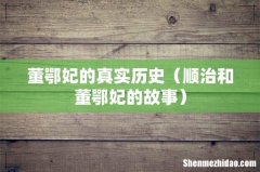 顺治和董鄂妃的故事 董鄂妃的真实历史