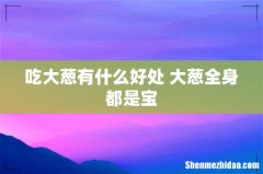吃大葱有什么好处 大葱全身都是宝
