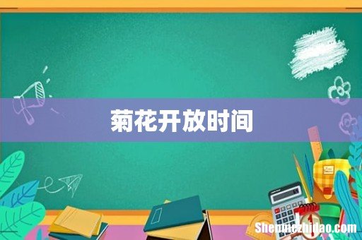 菊花开放时间