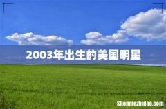 2003年出生的美国明星