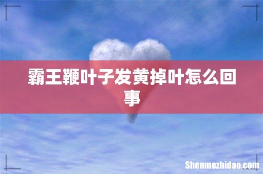 霸王鞭叶子发黄掉叶怎么回事