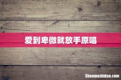 爱到卑微就放手原唱