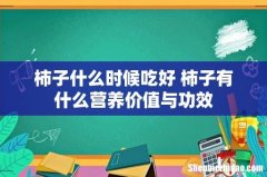 柿子什么时候吃好 柿子有什么营养价值与功效