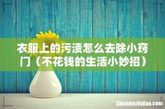 不花钱的生活小妙招 衣服上的污渍怎么去除小窍门