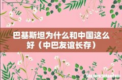 中巴友谊长存 巴基斯坦为什么和中国这么好