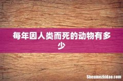 每年因人类而死的动物有多少