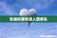 张继科哪年进入国家队