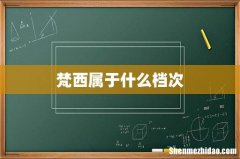 梵西属于什么档次