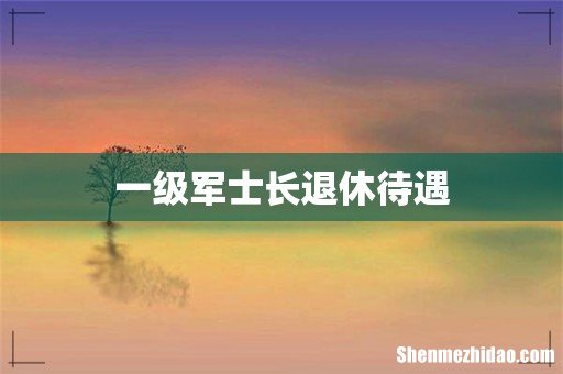 一级军士长退休待遇
