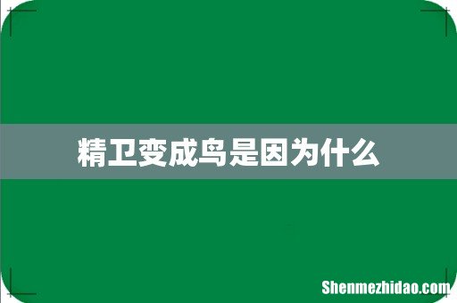 精卫变成鸟是因为什么
