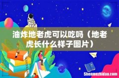 地老虎长什么样子图片 油炸地老虎可以吃吗