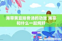 海带黄豆排骨汤的功效 海带和什么一起炖好