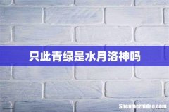只此青绿是水月洛神吗