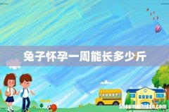 兔子怀孕一周能长多少斤