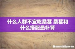 什么人群不宜吃桑葚 桑葚和什么搭配最补肾