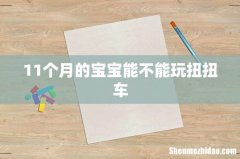 11个月的宝宝能不能玩扭扭车