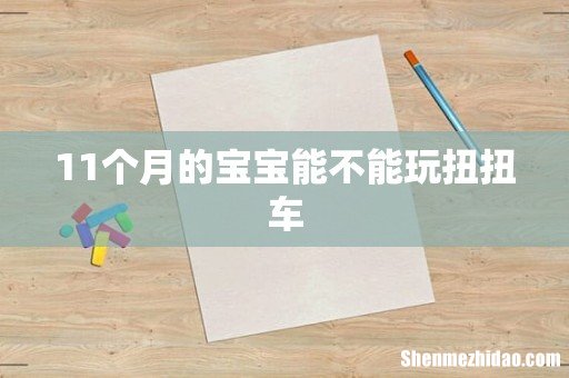 11个月的宝宝能不能玩扭扭车