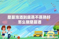 桑葚泡酒到底蒸不蒸熟好 怎么做桑葚酒