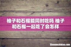 柚子和石榴能同时吃吗 柚子和石榴一起吃了会怎样