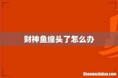 财神鱼缩头了怎么办