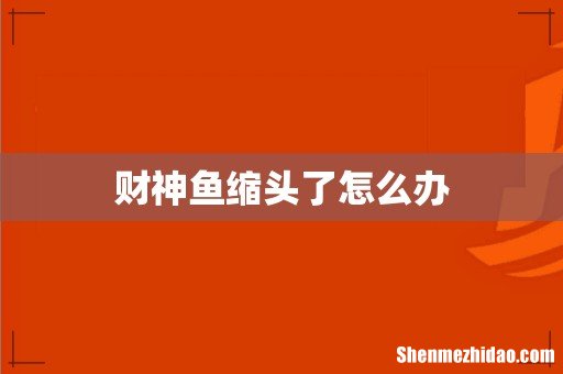 财神鱼缩头了怎么办