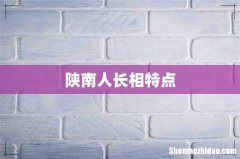 陕南人长相特点