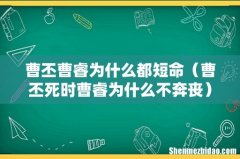 曹丕死时曹睿为什么不奔丧 曹丕曹睿为什么都短命