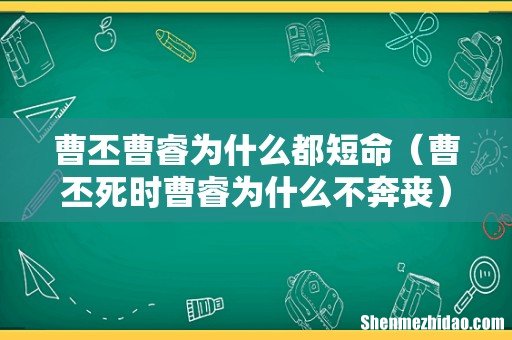 曹丕死时曹睿为什么不奔丧 曹丕曹睿为什么都短命