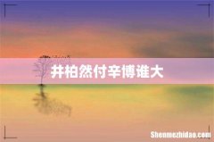 井柏然付辛博谁大