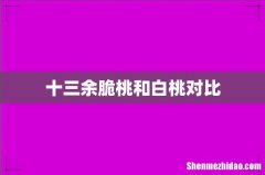 十三余脆桃和白桃对比