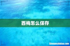 西梅怎么保存
