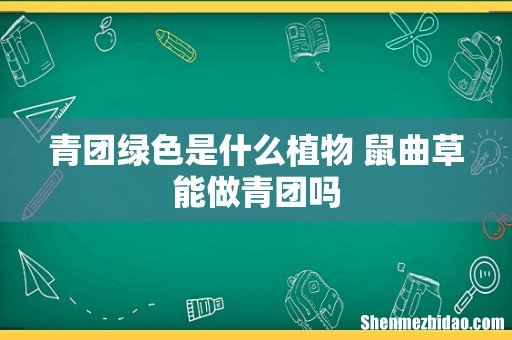 青团绿色是什么植物 鼠曲草能做青团吗