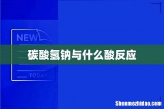 碳酸氢钠与什么酸反应