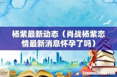肖战杨紫恋情最新消息怀孕了吗 杨紫最新动态