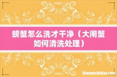 大闸蟹如何清洗处理 螃蟹怎么洗才干净