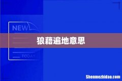 狼藉遍地意思