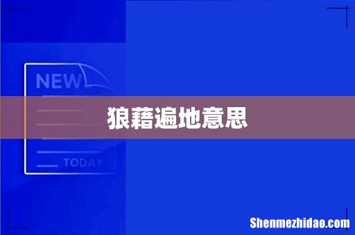 狼藉遍地意思