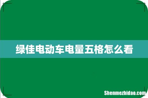 绿佳电动车电量五格怎么看