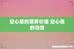 空心菜的营养价值 空心菜的功效