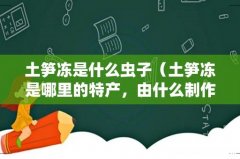 土笋冻是哪里的特产，由什么制作的 土笋冻是什么虫子