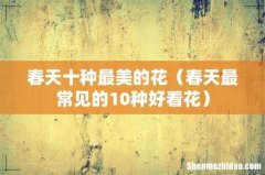 春天最常见的10种好看花 春天十种最美的花
