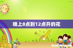 晚上8点到12点开的花