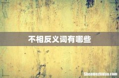 不相反义词有哪些