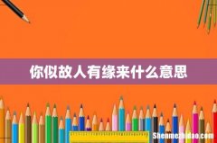 你似故人有缘来什么意思