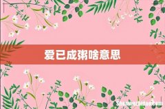 爱已成粥啥意思