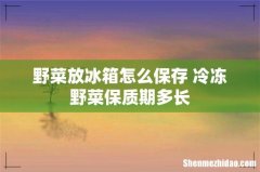 野菜放冰箱怎么保存 冷冻野菜保质期多长