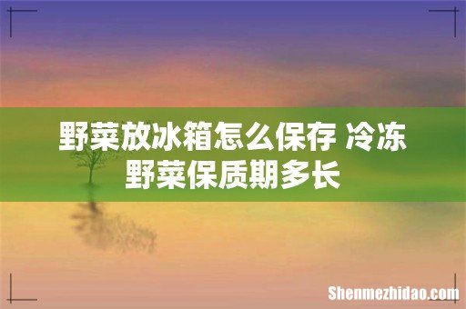 野菜放冰箱怎么保存 冷冻野菜保质期多长